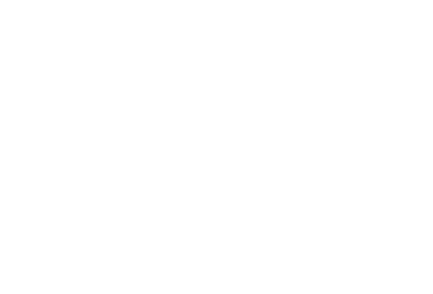 Ceo Signature